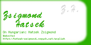 zsigmond hatsek business card